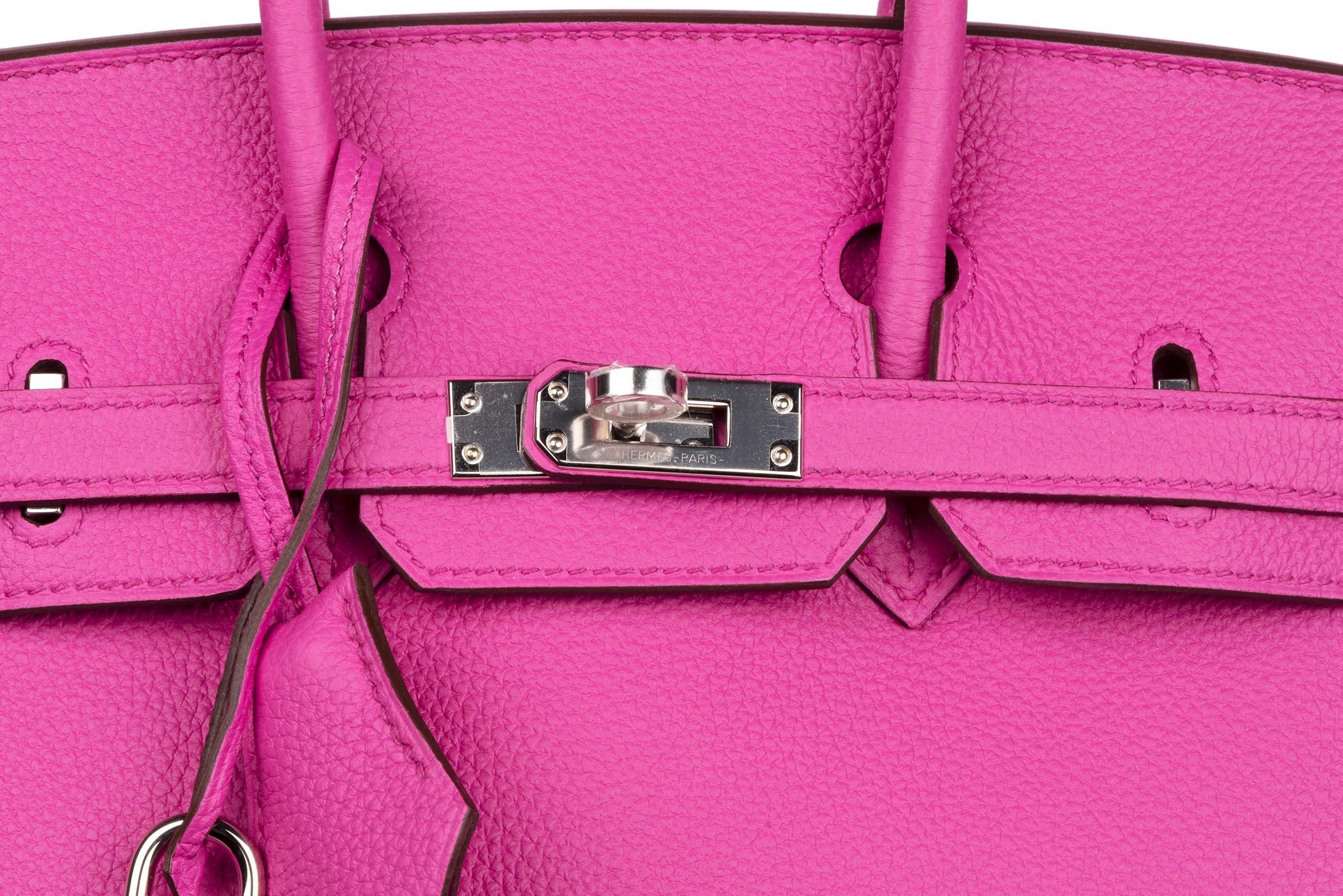 Hermes Birkin 25 Magnolia Togo Palladium Bag 6
