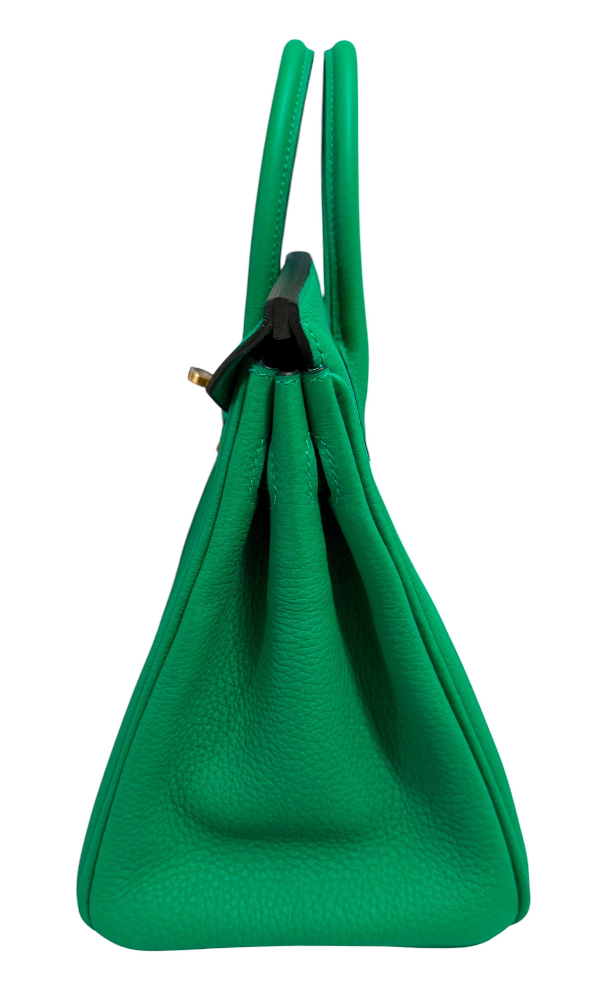 Bleu Hermes Birkin 25 Menthe Menthe Vert Togo Cuir Gold Hardware Sac à main en vente