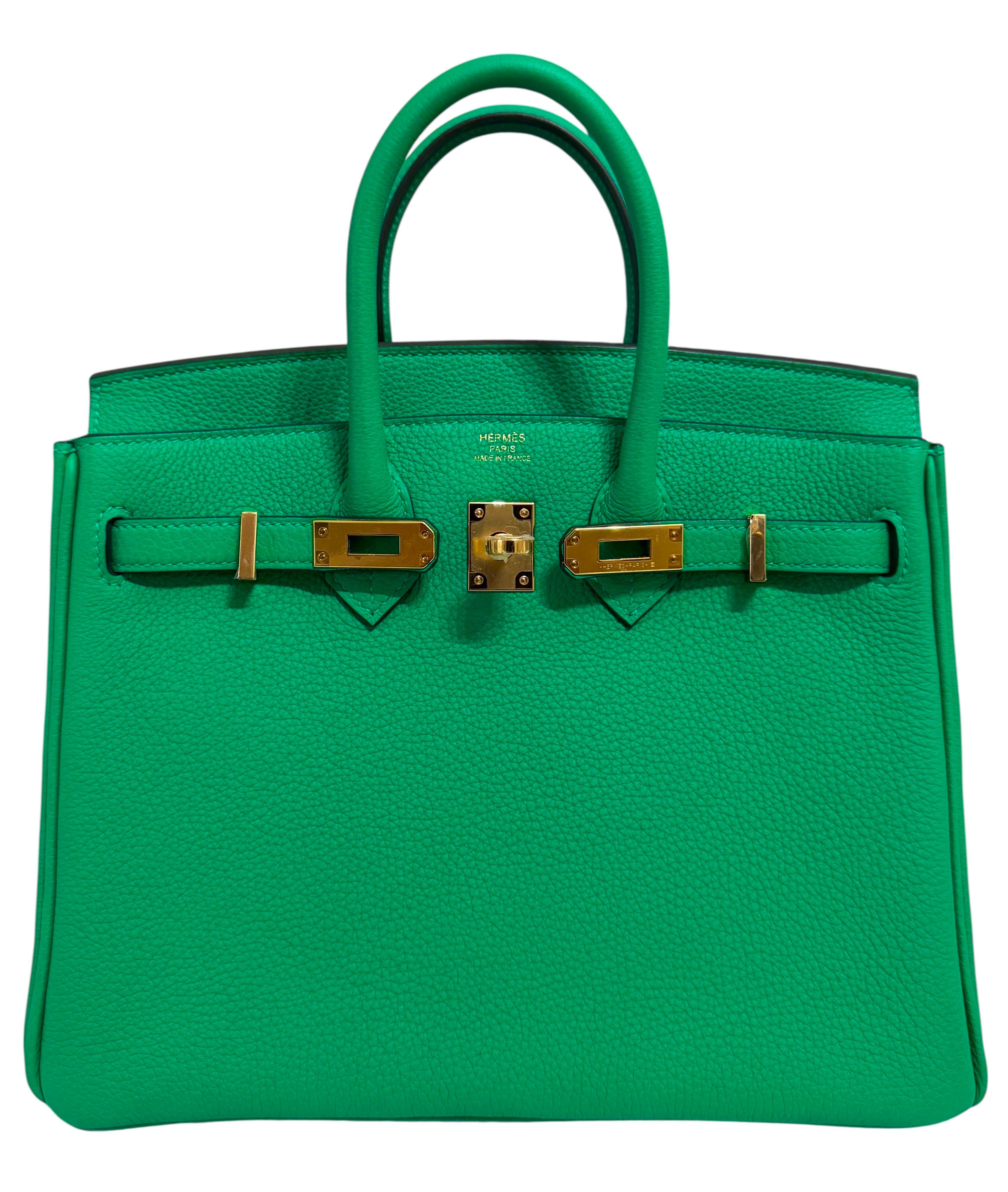 Hermes Birkin 25 Menthe Menthe Vert Togo Cuir Gold Hardware Sac à main Neuf - En vente à Miami, FL