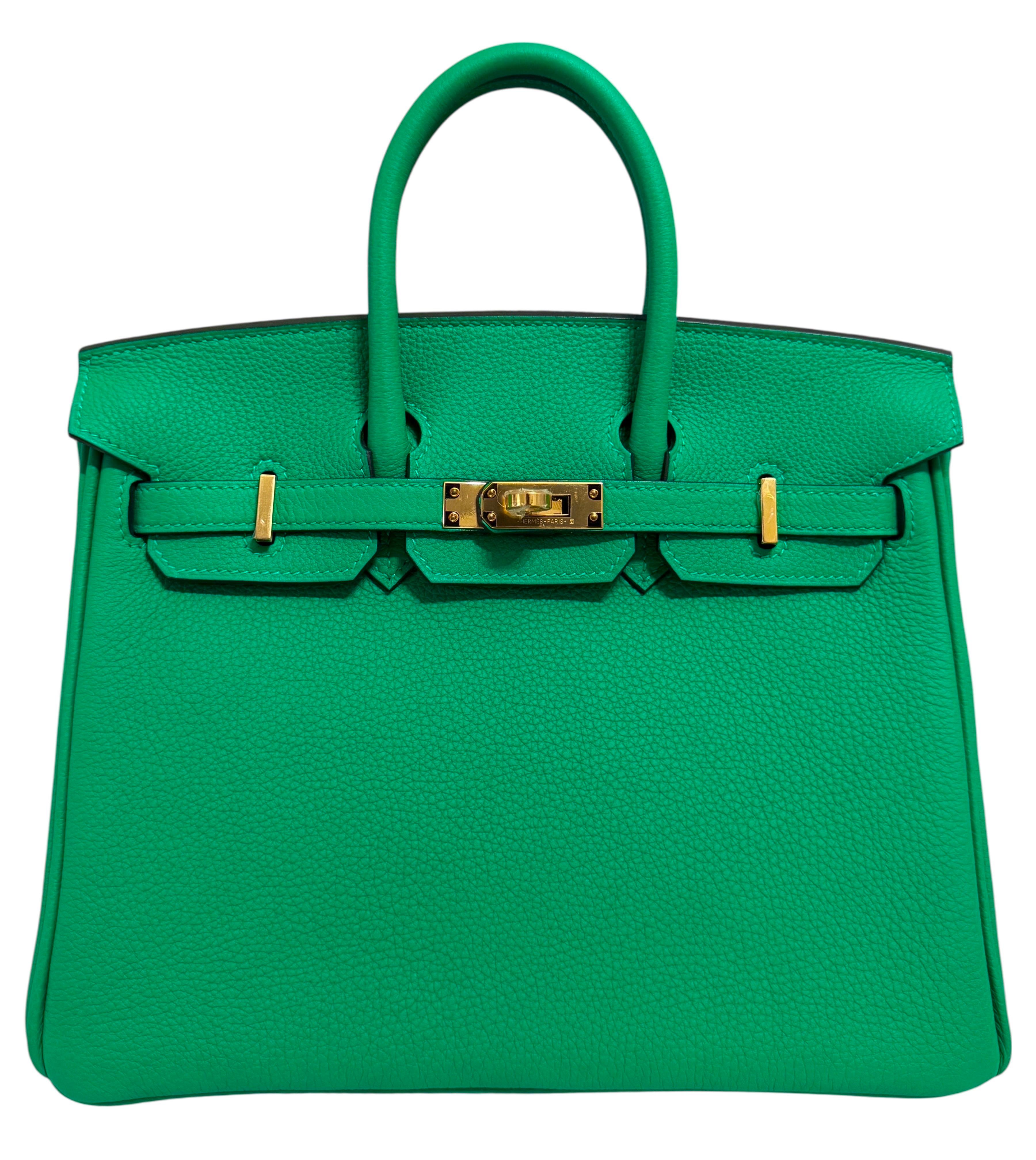 Hermes Birkin 25 Menthe Menthe Vert Togo Cuir Gold Hardware Sac à main Unisexe en vente