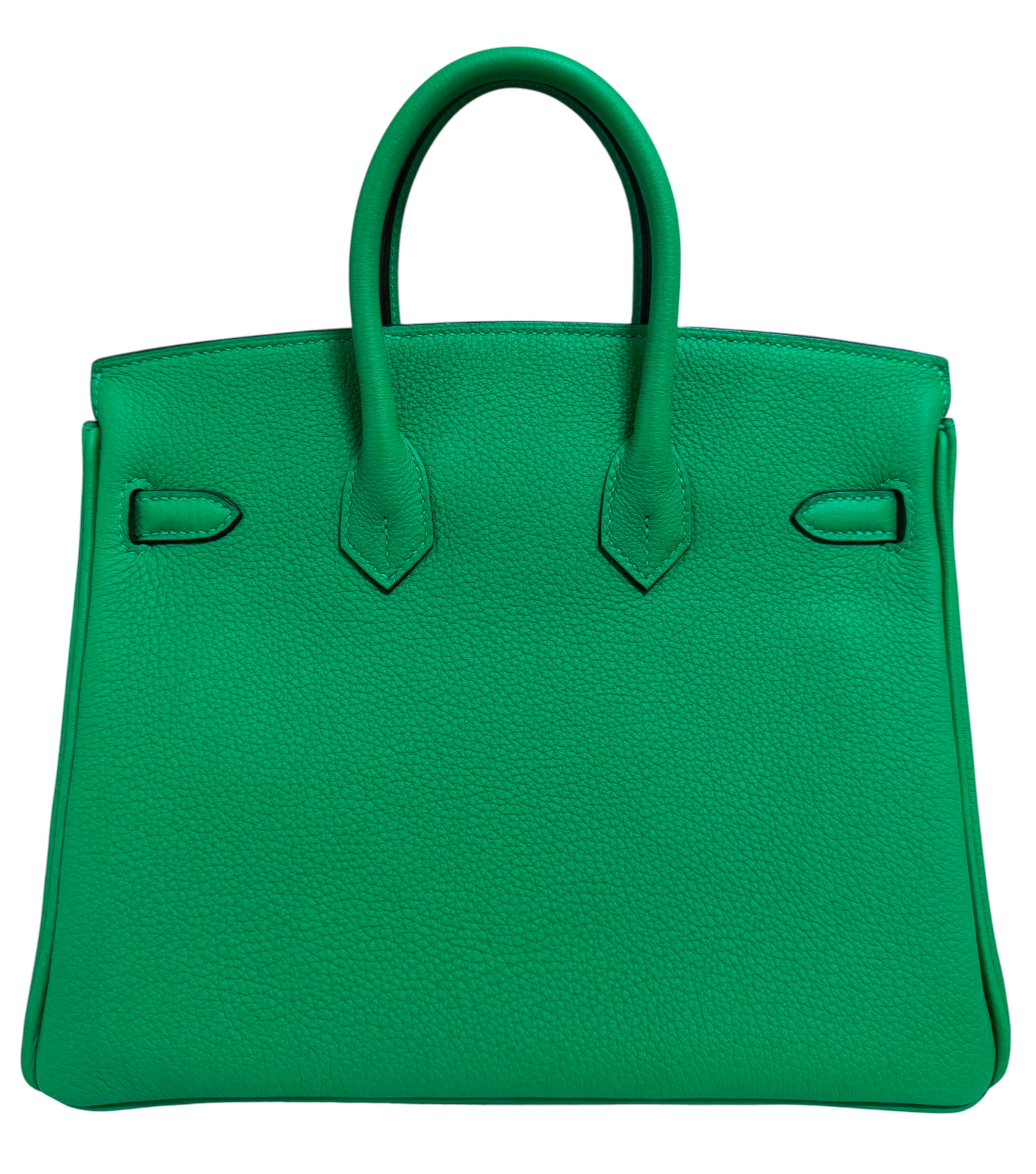 Hermes Birkin 25 Menthe Menthe Vert Togo Cuir Gold Hardware Sac à main en vente 1
