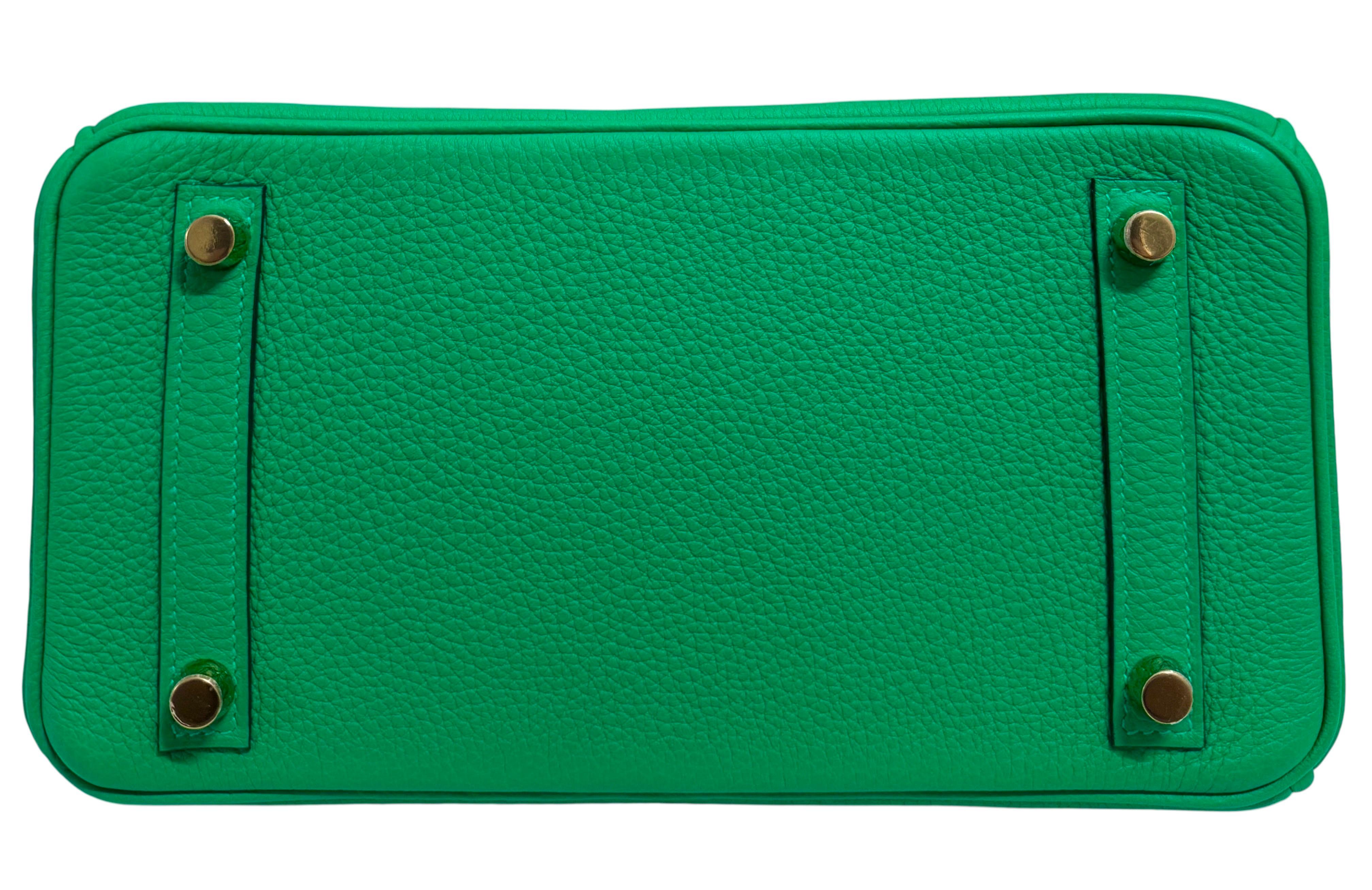 Hermes Birkin 25 Menthe Menthe Vert Togo Cuir Gold Hardware Sac à main en vente 2
