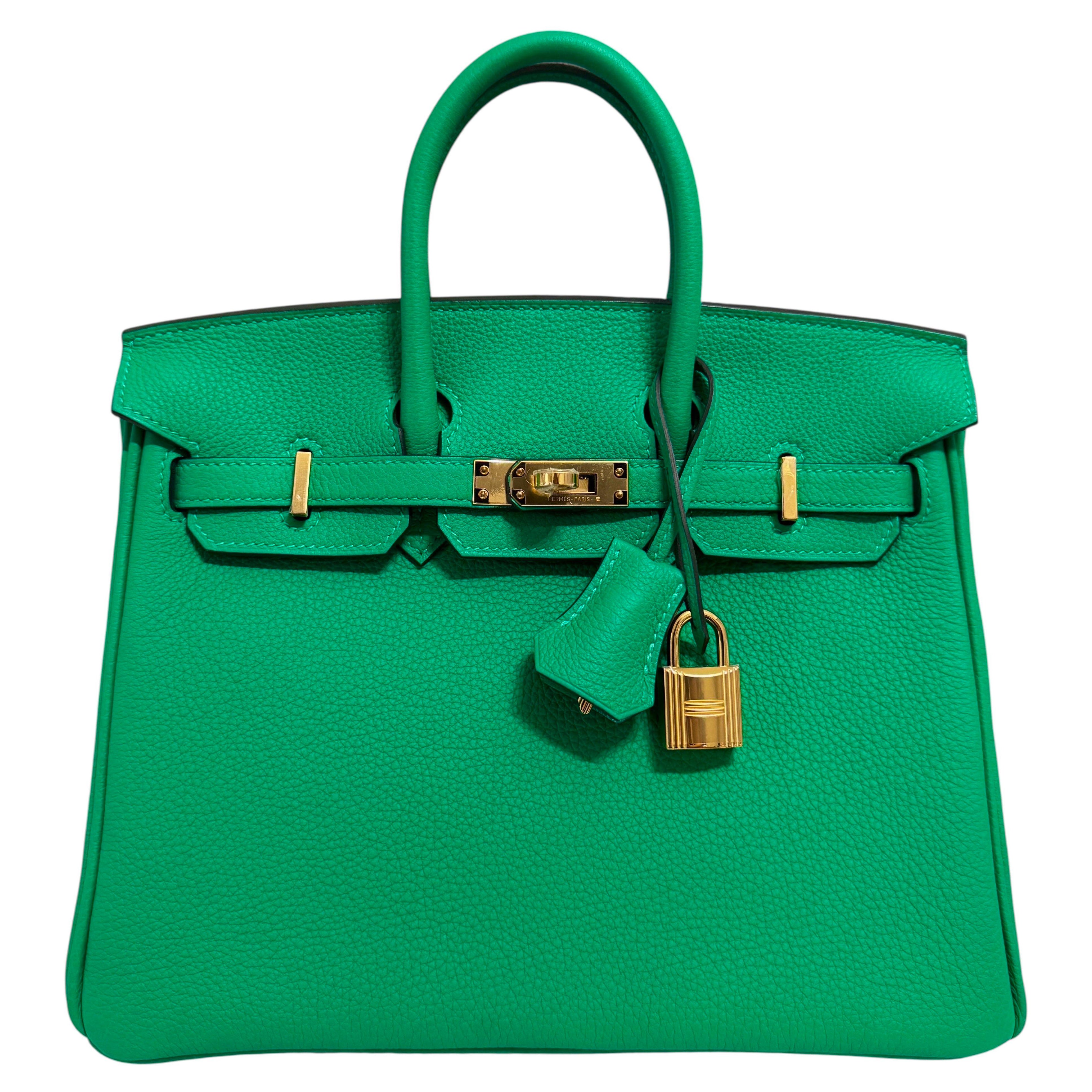 Hermes Birkin 25 Menthe Menthe Vert Togo Cuir Gold Hardware Sac à main en vente