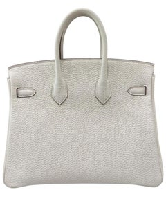 Hermes Birkin 25 Pilz Weiß Togo Leder Palladium Hardware Top Handle Bag