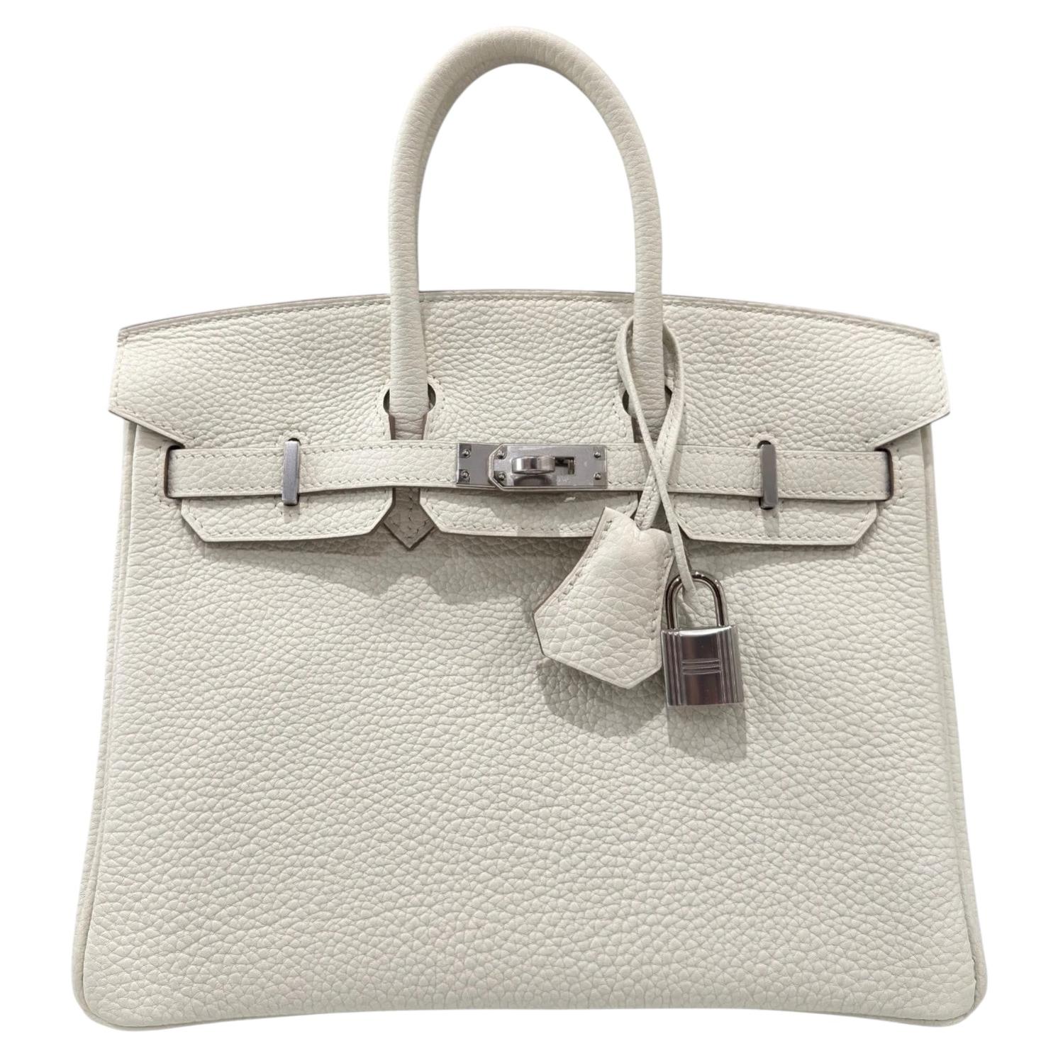 Hermes Birkin 25 Fungo Bianco Togo Pelle Palladium Hardware Borsa a manico superiore