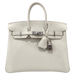 Hermes Birkin 25 Pilz Weiß Togo Leder Palladium Hardware Top Handle Bag