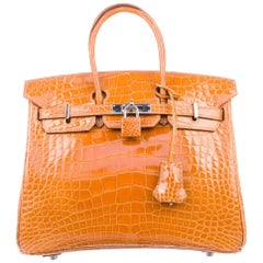 Hermes Birkin 25 Mustard Alligator Exotic Top Handle Satchel Tote Bag