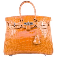 Hermes Birkin 25 Mustard Alligator Exotic Top Handle Satchel Tote Bag 