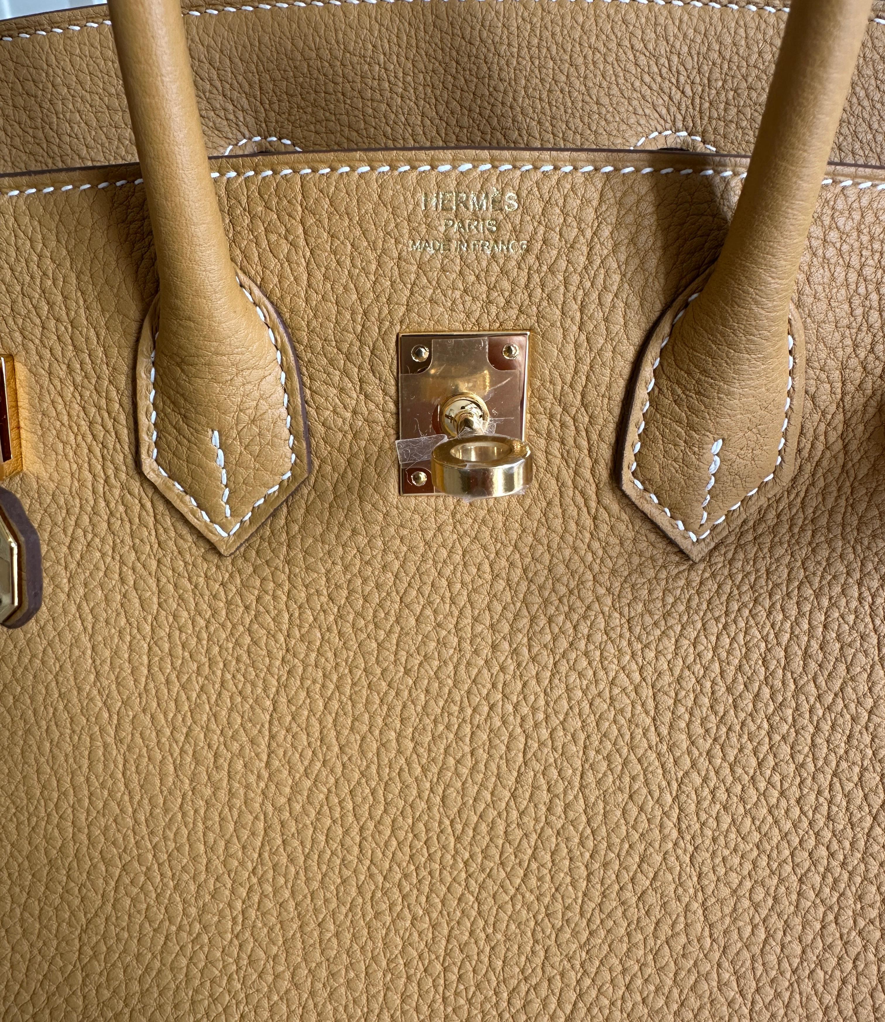 Hermes Birkin 25 Natural Golden Sable Togo Gold Hardware New W 2025 For Sale 5