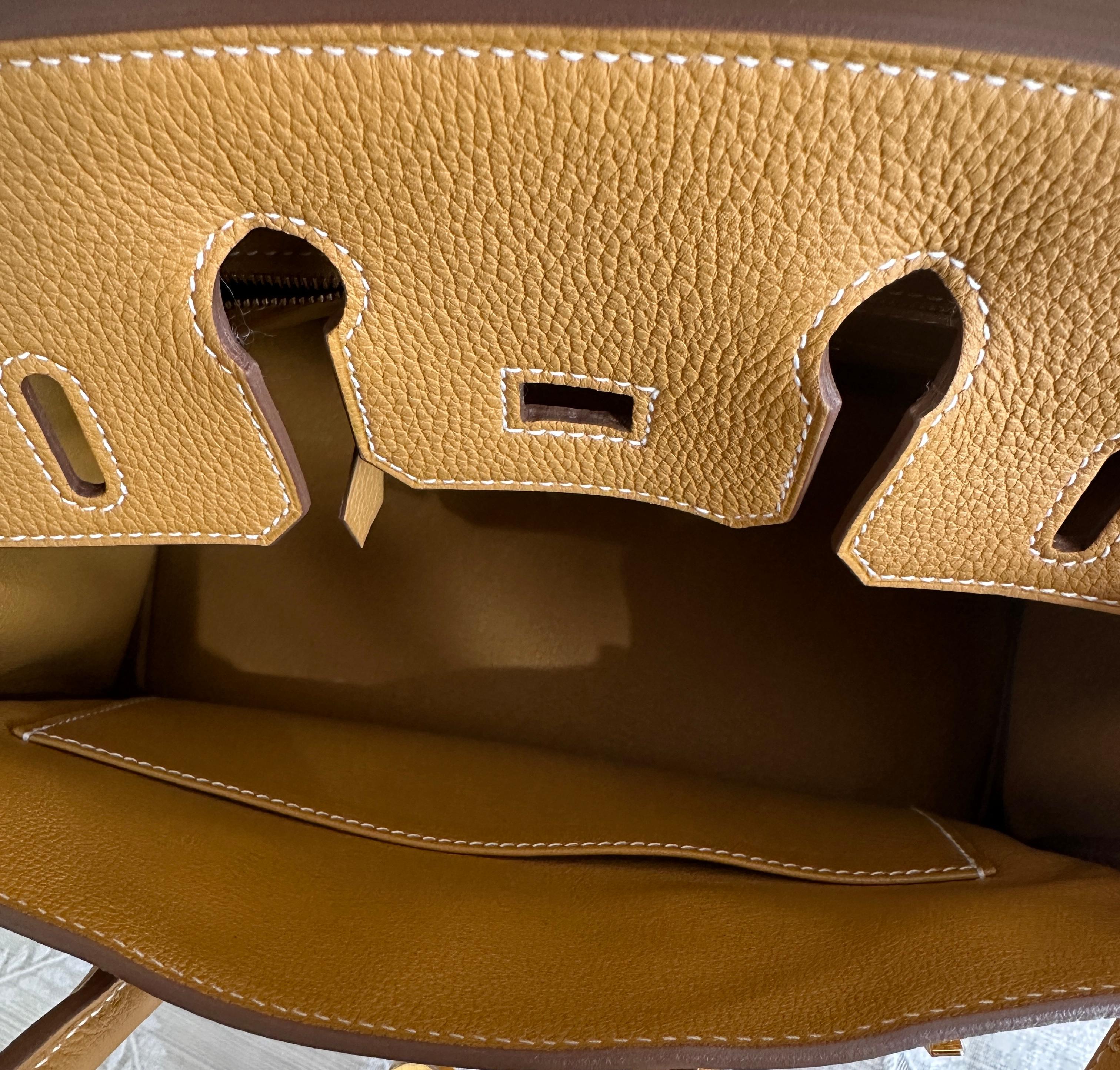 Hermes Birkin 25 Natural Golden Sable Togo Gold Hardware New W 2025 For Sale 6