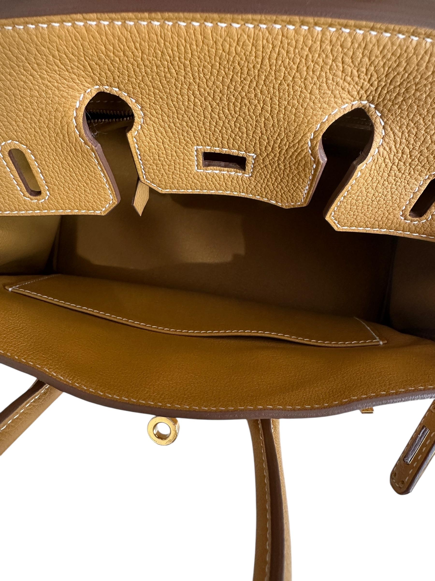 Hermes Birkin 25 Natural Golden Sable Togo Gold Hardware New W 2025 For Sale 1
