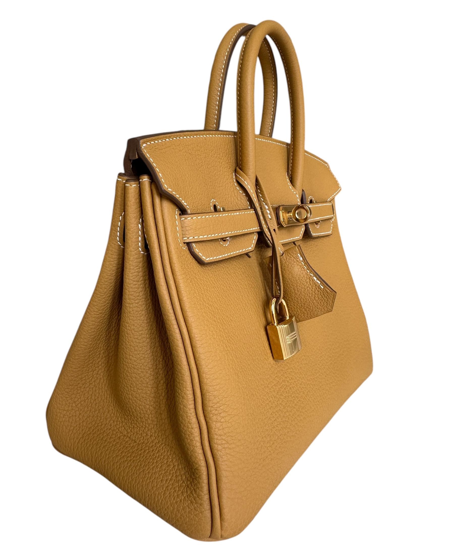 Hermes Birkin 25 Natural Golden Sable Togo Gold Hardware New W 2025 For Sale 3