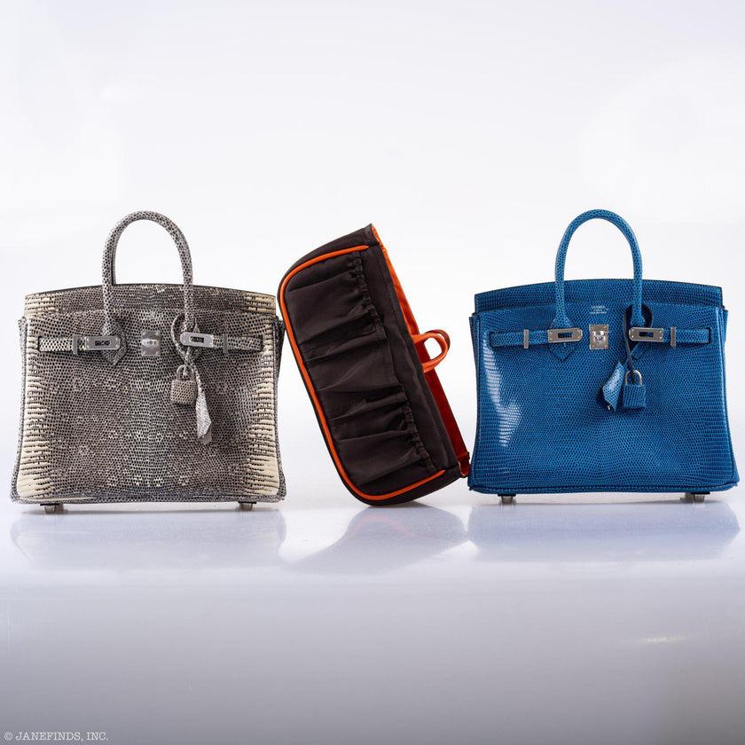 Hermès Birkin 25 Ombre Lizard Palladium Hardware Bag For Sale 1