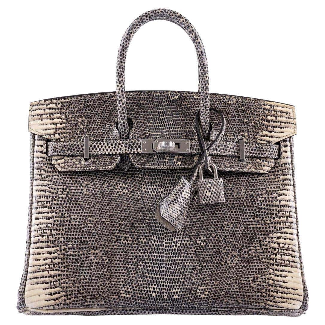 Hermès Birkin 25 Ombre Lizard Palladium Hardware Bag For Sale at ...
