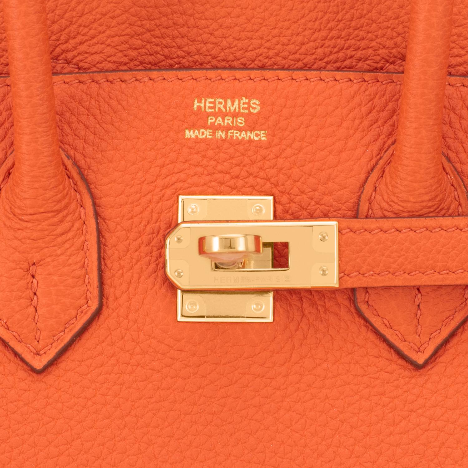 Hermes Birkin 25 Orange Feu Togo Bag Gold Jewel Y Stamp, 2020 2