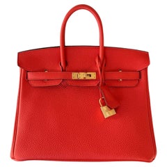 Hermes Birkin 25 Orange Poppy Togo Leather Turn-Lock Closure With Gold Hardware
