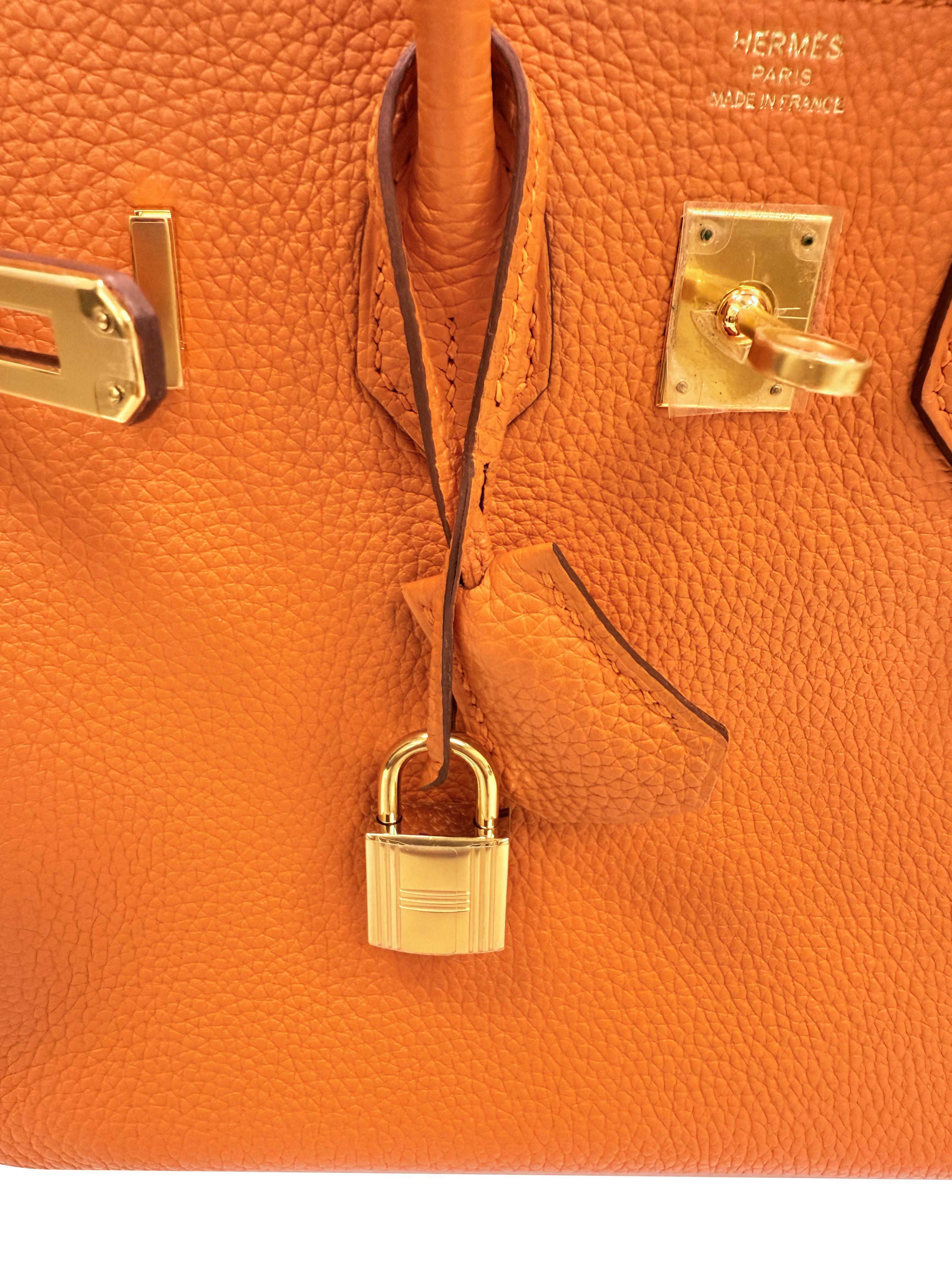 Hermes Birkin 25 Orange Togo Leather with Gold Hardware Handbag en vente 5