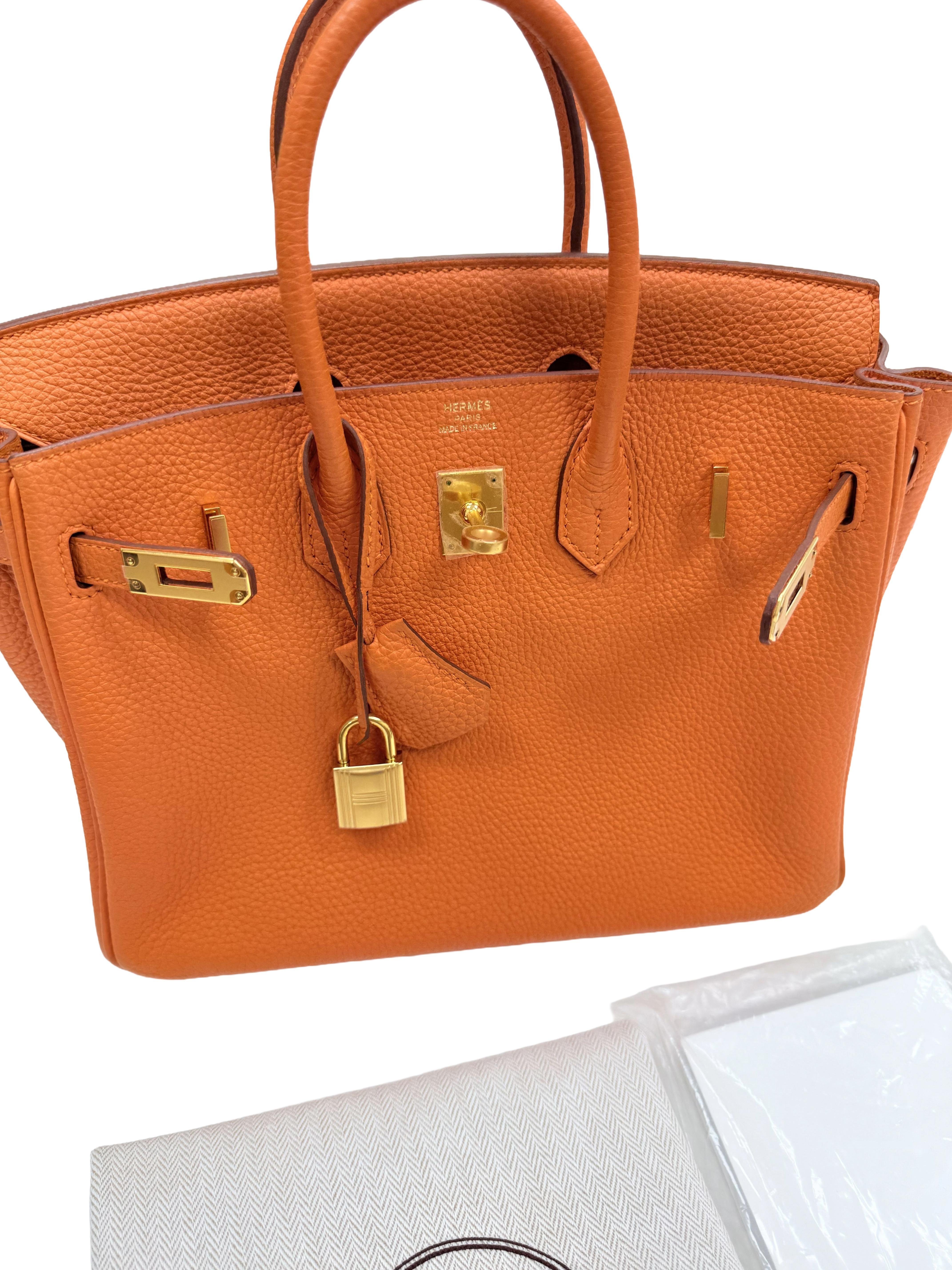 Hermes Birkin 25 Orange Togo Leather with Gold Hardware Handbag en vente 4