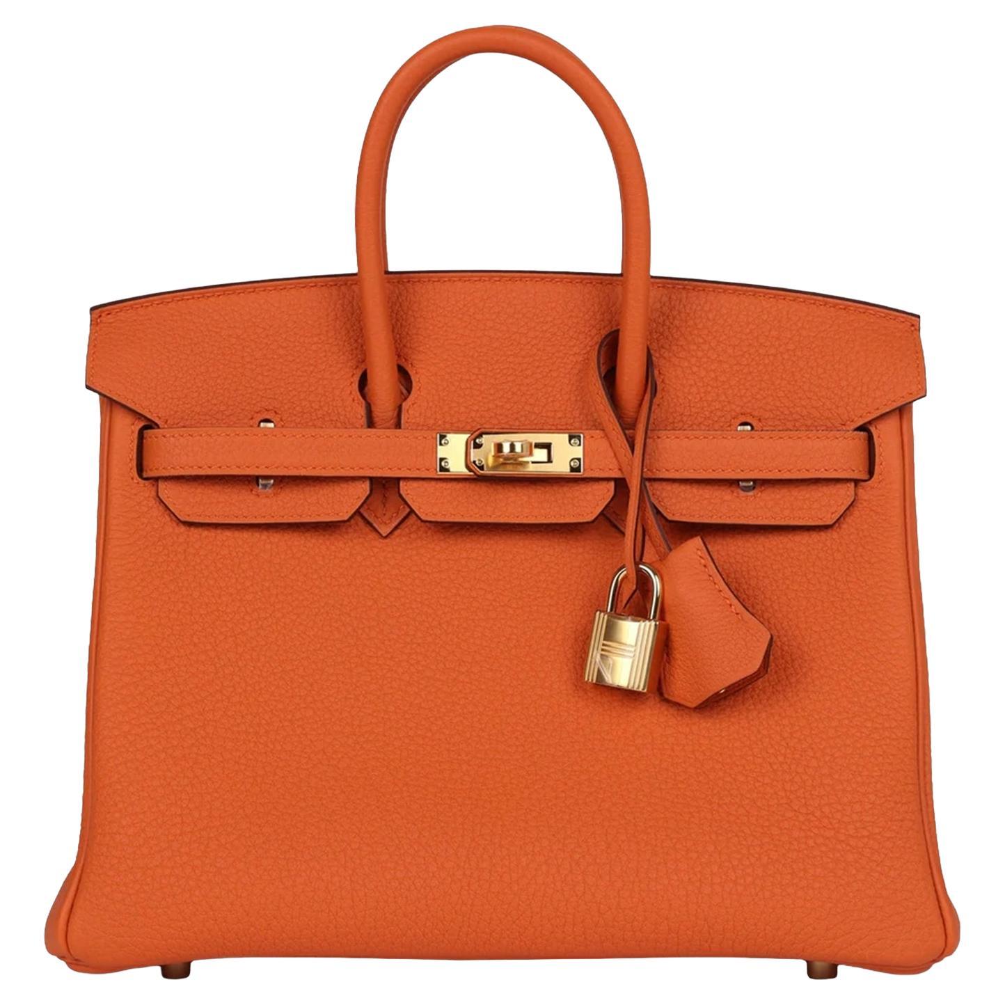 Hermes Birkin 25 Orange Togo Leather with Gold Hardware Handbag
