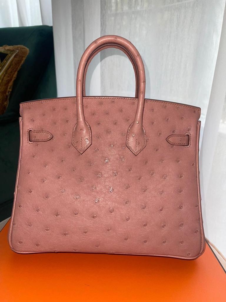Hermes Birkin 25 ostrich bag Terre Cuite with gold hardware  In New Condition In London, England