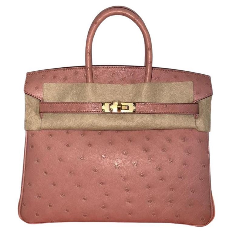 Hermes Birkin 25 ostrich bag Terre Cuite with gold hardware For Sale at  1stDibs