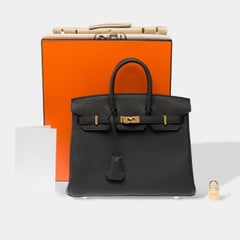 Hermès Birkin 25 Plomb Togo Leather Handbag with Gold Hardware, 2025