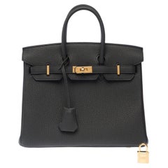 Hermès Birkin 25 Plomb Togo Leather Handbag with Gold Hardware, 2025