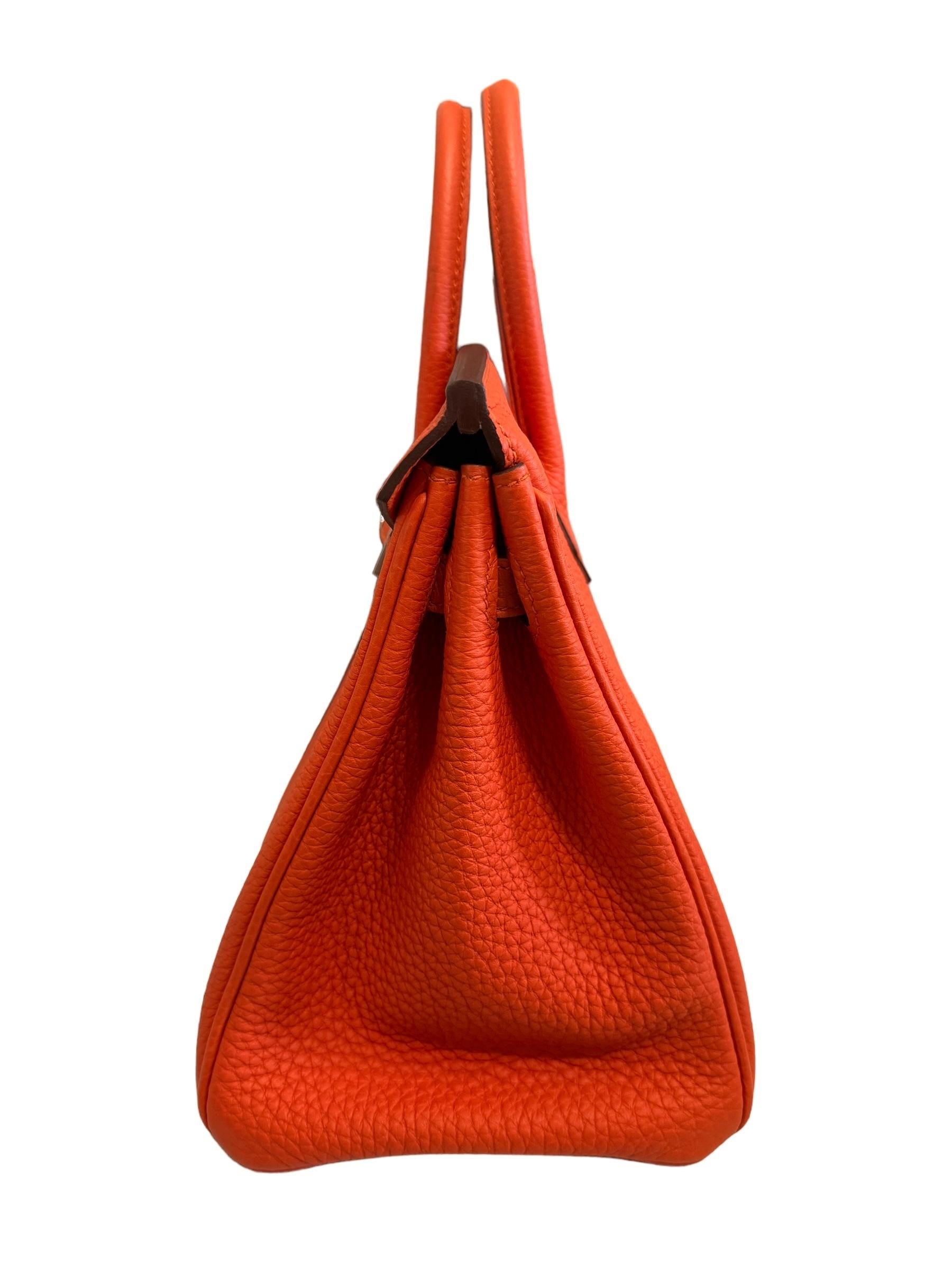 Hermes Birkin 25 Poppy Orange Togo Handbag Bag Palladium Hardware For Sale 2
