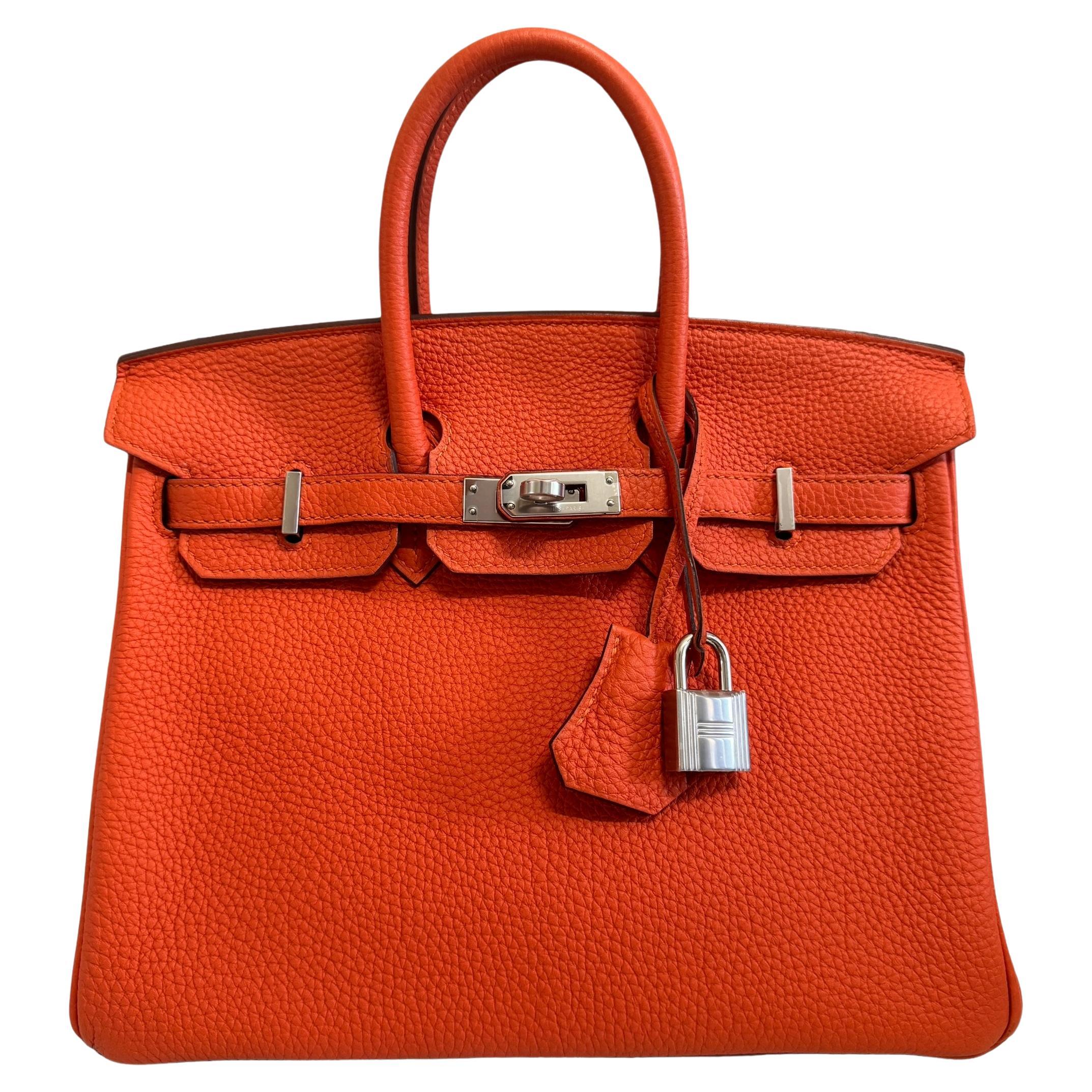 Hermes Birkin 25 Poppy Orange Togo Handbag Bag Palladium Hardware For Sale