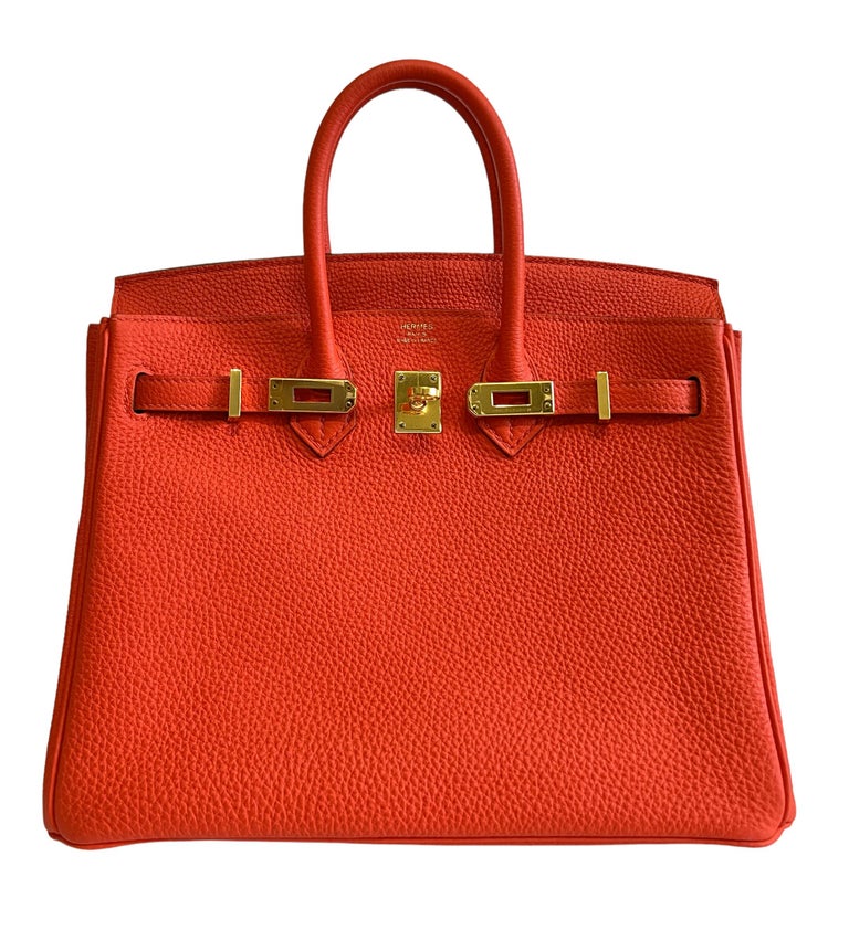 Hermes Birkin 25 Poppy Orange Togo Leather Gold Hardware For Sale at 1stDibs