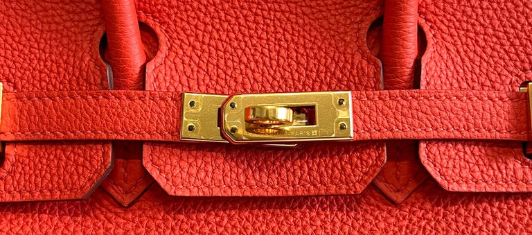 Hermes Birkin 25 Poppy Orange Togo Leather Gold Hardware For Sale at 1stDibs