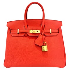 Hermes Birkin 25 Poppy Orange Togo Leather Gold Hardware Top Handle Bag