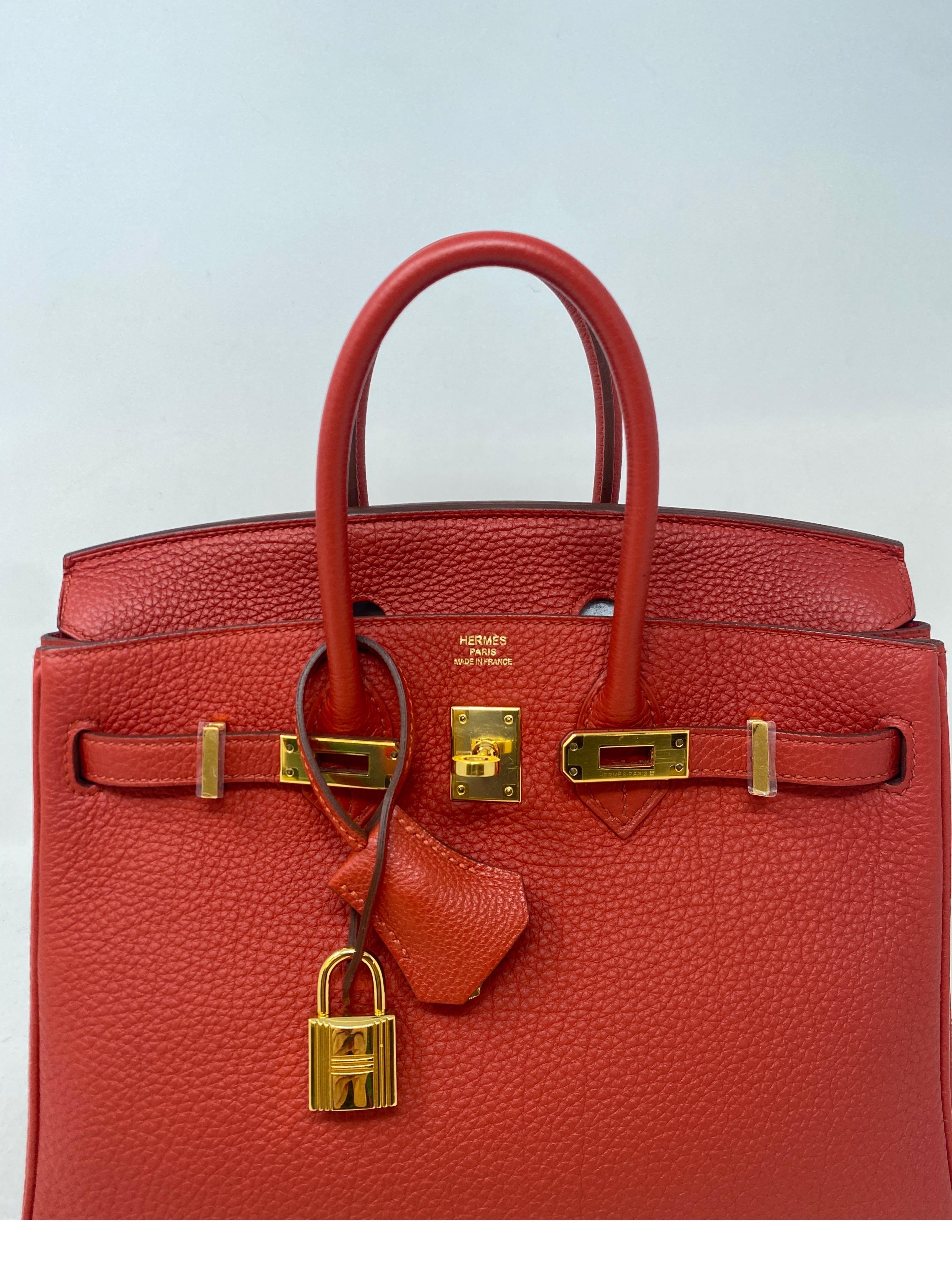 Hermes Birkin 25 Rouge Pivoine Bag  5