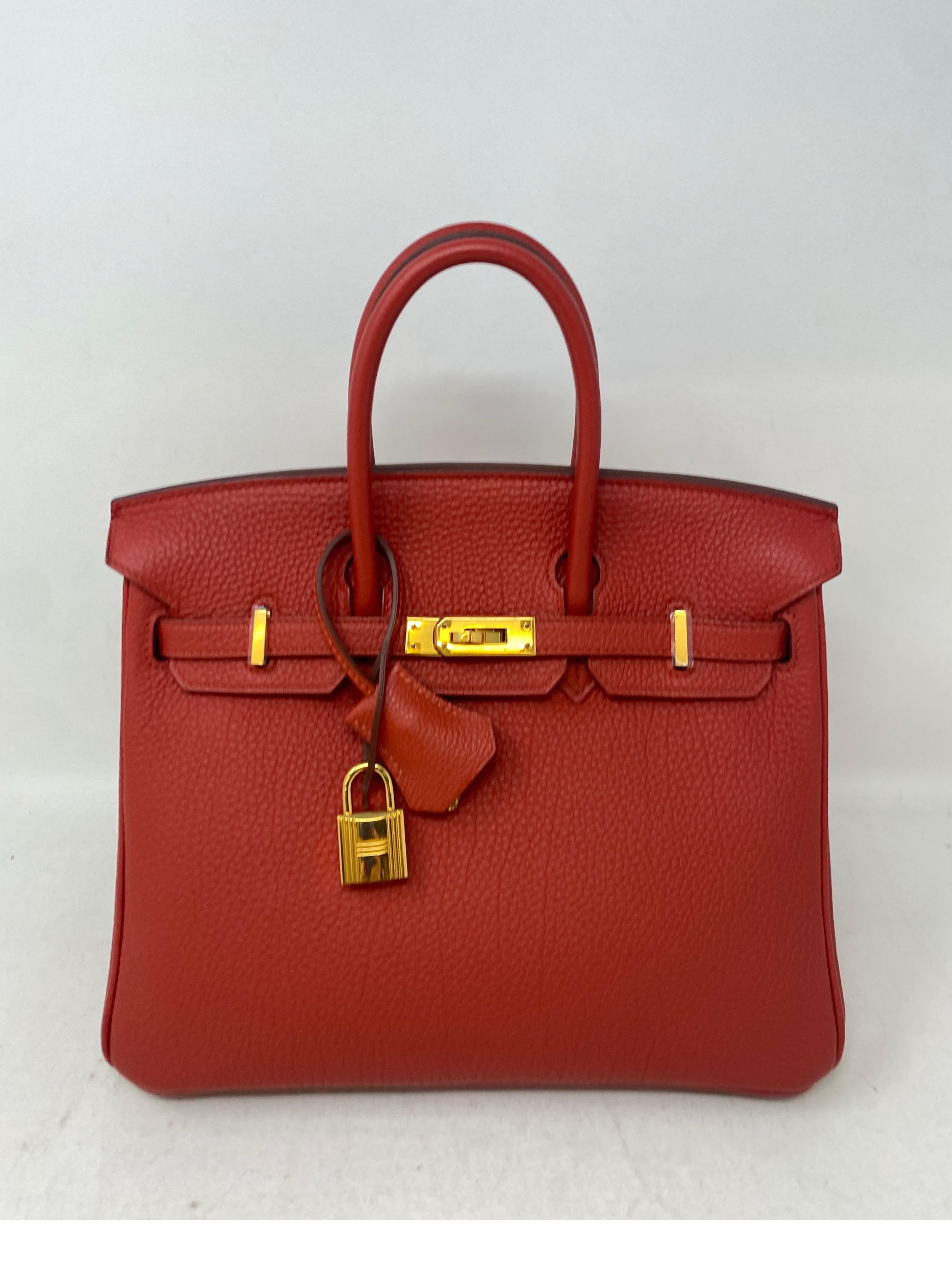 Hermes Birkin 25 Rouge Pivoine Bag  13