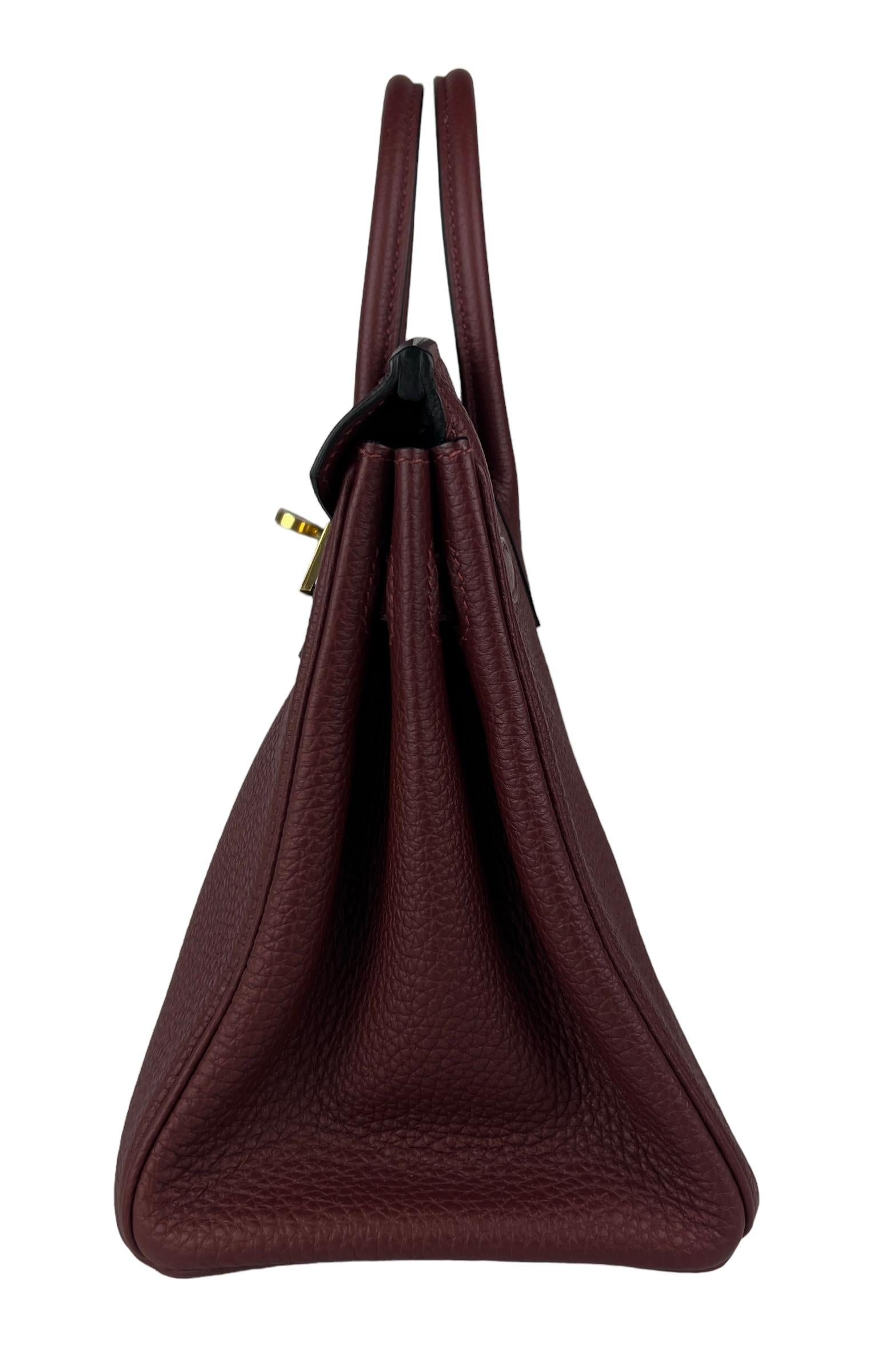 Women's or Men's Hermes Birkin 25 Rouge Sellier Togo Leather Handbag Bag Gold Hardware RARE