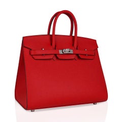 Hermes Birkin Sellier 25 Bag Rouge De Couer Epsom Palladium Hardware