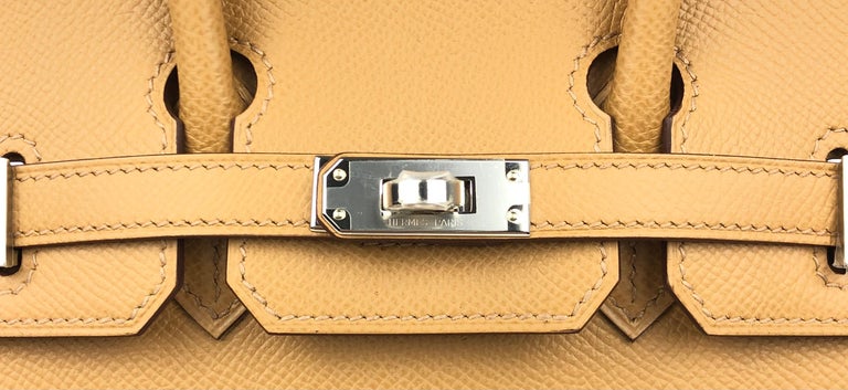 Hermes Birkin 20 Sellier Faubourg Bag Limited Edition Palladium Hardware at  1stDibs