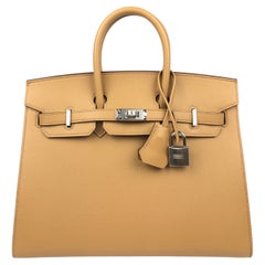 Rouge Sellier Evercalf Shadow Birkin 25 Palladium Hardware, 2021