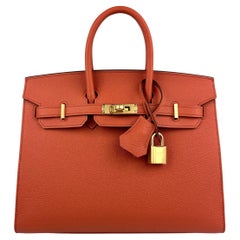 Hermes Birkin 25 Sellier Terre Battue Orange Epsom Leather Gold Hardware New