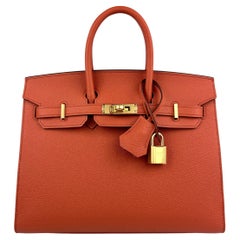 Sellier Terre Battue Orange Epsom-Leder mit Goldbeschlägen von Hermès Birkin 25 