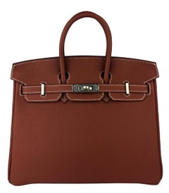 Hermes Birkin 25 Sienne Brown Red Togo Leather Palladium Hardware 2022