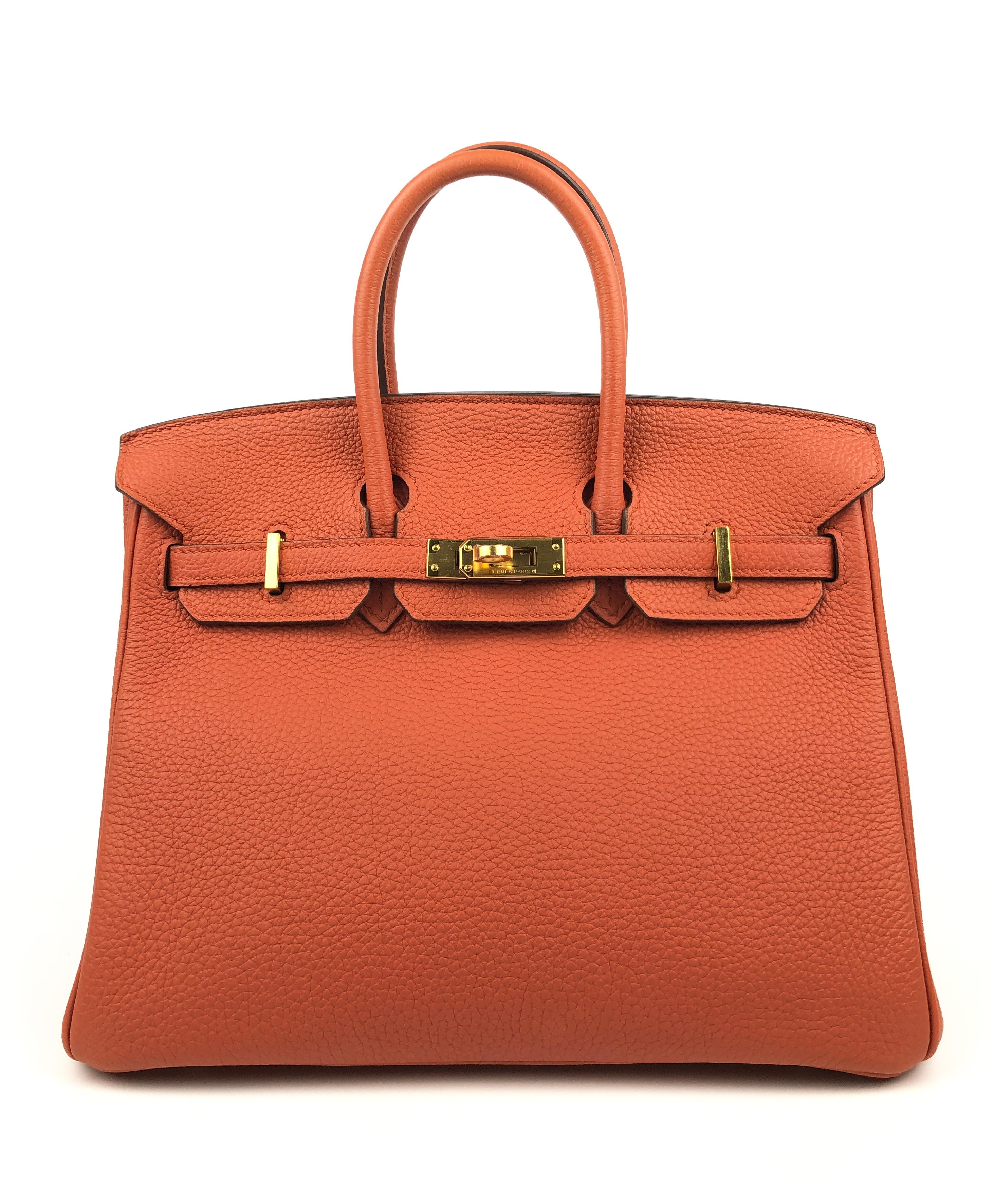 Rare and The Only One on 1stDibs! Hermes Birkin 25 Terre Battue Orange Togo Leather Gold Hardware. Pristine Condition with Plastic on Hardware, perfect corners and structure. X Stamp 2016.

Shop With Confidence from Lux Addicts. We are a Platinum
