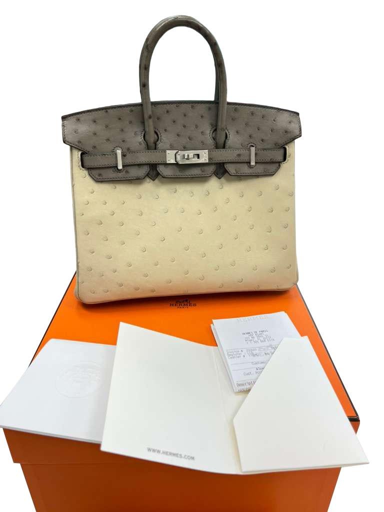 Sac à main Hermes Birkin 25 Bicolor Gris Agate et Ostrich Blanc Palladium Hardware Pour femmes en vente