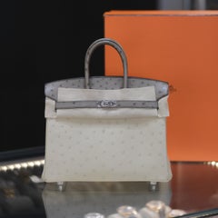 Hermes Birkin 25 Touch 3 Parchemin and Gris Ostrich with Palladium Hardware