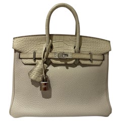 Hermes Birkin 25 Touch Beton Togo Matte Alligator Palladium Hardware