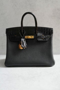 Hermes Birkin 25 Touch Noir/Black Togo/Shiny Nilo Crocodile w/ Gold HW