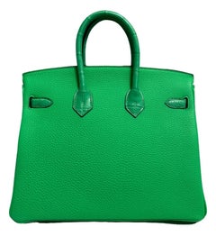 Hermes Birkin 25 Touch Vert Comics Togo und Alligator Palladium Top Handle Bag