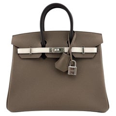 Hermes Birkin 25 Tri Color Etoupe Gris Pale Ebene Epsom Leder Top Handle Bag