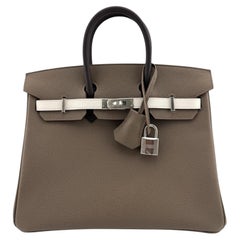 Hermes Birkin 25 Tri Color Etoupe Gris Pale Ebene Epsom Palladium Top Handle Bag