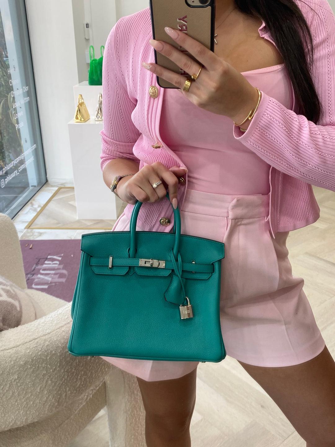 Hermes Birkin 25 Verso Vert Verone/ Rose Lipstick Novillo PHW 8
